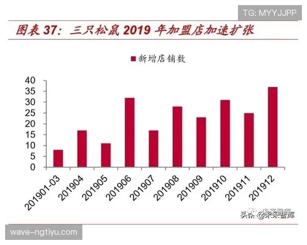 本泽马与哈兰德前插频率差异及其单点驱动模式对比分析
